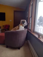 processed/b408e084-d0c3-4dd0-88ef-1edbfa697333/listing/3b50d95d-0dc1-4bcb-a5ad-8978272e5c90/0f0bbb8f-b58d-43a3-a57a-add06a327ddc