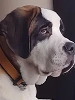 processed/b408e084-d0c3-4dd0-88ef-1edbfa697333/listing/3b50d95d-0dc1-4bcb-a5ad-8978272e5c90/3fcb264c-5201-45f0-ab7a-e7f1c540022e