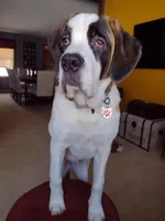 processed/b408e084-d0c3-4dd0-88ef-1edbfa697333/listing/3b50d95d-0dc1-4bcb-a5ad-8978272e5c90/c8afa592-0403-4c26-a3f2-7095346525a9