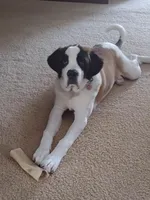 processed/b408e084-d0c3-4dd0-88ef-1edbfa697333/listing/3b50d95d-0dc1-4bcb-a5ad-8978272e5c90/cd138fcb-57e4-4ae9-b12b-6f3c548adcd7