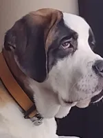 processed/b408e084-d0c3-4dd0-88ef-1edbfa697333/listing/3b50d95d-0dc1-4bcb-a5ad-8978272e5c90/d3ec3ce9-a2f6-44ac-8d46-2d8acfc286dc