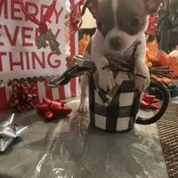 processed/b41038cf-de8e-4827-aa6c-ef502ce67648/facility/15cea109-105f-4d7e-b519-e1cd8d6ae25a