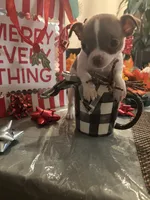 processed/b41038cf-de8e-4827-aa6c-ef502ce67648/facility/15cea109-105f-4d7e-b519-e1cd8d6ae25a