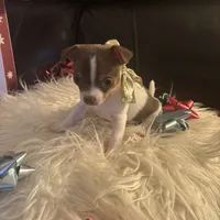 processed/b41038cf-de8e-4827-aa6c-ef502ce67648/facility/5d9ab0dd-2914-4906-be78-cc04cff73ad0