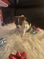 processed/b41038cf-de8e-4827-aa6c-ef502ce67648/facility/5d9ab0dd-2914-4906-be78-cc04cff73ad0