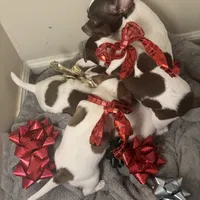 processed/b41038cf-de8e-4827-aa6c-ef502ce67648/facility/7872c024-2977-406f-8fc3-20b96e0d87f9