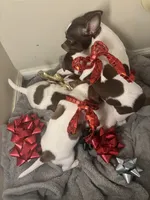 processed/b41038cf-de8e-4827-aa6c-ef502ce67648/facility/7872c024-2977-406f-8fc3-20b96e0d87f9