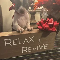 processed/b41038cf-de8e-4827-aa6c-ef502ce67648/facility/aeb9b276-1eed-4c30-bc2c-c17345f5cdf2