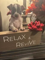 processed/b41038cf-de8e-4827-aa6c-ef502ce67648/facility/aeb9b276-1eed-4c30-bc2c-c17345f5cdf2