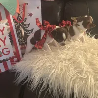 processed/b41038cf-de8e-4827-aa6c-ef502ce67648/facility/e2512196-5f97-48bf-bc8c-137d74339aa0