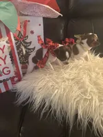 processed/b41038cf-de8e-4827-aa6c-ef502ce67648/facility/e2512196-5f97-48bf-bc8c-137d74339aa0