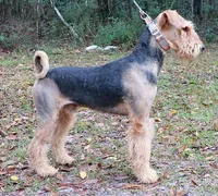 processed/b414a19a-eaeb-43a0-b535-24799807fb8b/listing/01ccd6e5-aaca-4c9d-8695-2867658ba1ce/5d80599a-133a-430c-a5e6-90ceb0f9220f