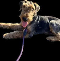 processed/b414a19a-eaeb-43a0-b535-24799807fb8b/listing/01ccd6e5-aaca-4c9d-8695-2867658ba1ce/82ee75f0-958a-452c-99ce-4aef3a23d8bd