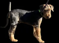 processed/b414a19a-eaeb-43a0-b535-24799807fb8b/listing/01ccd6e5-aaca-4c9d-8695-2867658ba1ce/83df8a25-ba0c-4ad0-8f89-77f6e948b89a