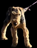 processed/b414a19a-eaeb-43a0-b535-24799807fb8b/listing/01ccd6e5-aaca-4c9d-8695-2867658ba1ce/c6143238-0b4a-4452-85bb-1675cbb6d44f