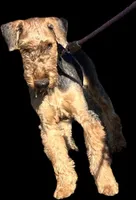 processed/b414a19a-eaeb-43a0-b535-24799807fb8b/listing/01ccd6e5-aaca-4c9d-8695-2867658ba1ce/daee126f-f05c-4452-8258-88c567345e35