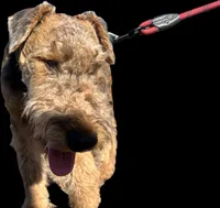 processed/b414a19a-eaeb-43a0-b535-24799807fb8b/listing/86e747f5-81b2-44dc-8972-b52599019294/052766e0-054e-4757-8c74-c12badac00e3