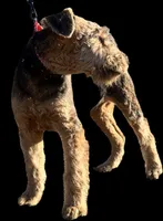 processed/b414a19a-eaeb-43a0-b535-24799807fb8b/listing/86e747f5-81b2-44dc-8972-b52599019294/22df53d5-1920-4312-a257-68519666a972