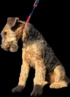 processed/b414a19a-eaeb-43a0-b535-24799807fb8b/listing/86e747f5-81b2-44dc-8972-b52599019294/45f8a1db-67c0-426b-a9a1-727a1def62cd