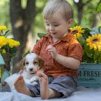 processed/b4215d1b-521a-472e-8233-b2919cc5f873/facility/18ddfc98-36b6-4de9-a254-3e4f278b5f52