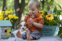 processed/b4215d1b-521a-472e-8233-b2919cc5f873/facility/18ddfc98-36b6-4de9-a254-3e4f278b5f52