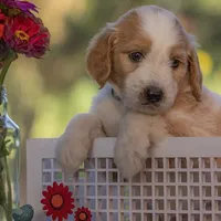 processed/b4215d1b-521a-472e-8233-b2919cc5f873/facility/6b0895f5-12a9-4f4a-b67d-1e93354c203d