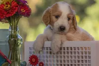 processed/b4215d1b-521a-472e-8233-b2919cc5f873/facility/6b0895f5-12a9-4f4a-b67d-1e93354c203d