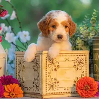 processed/b4215d1b-521a-472e-8233-b2919cc5f873/facility/7635ef86-1e5e-413e-acc2-55e5786048c7