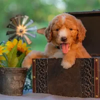 processed/b4215d1b-521a-472e-8233-b2919cc5f873/facility/c6f01693-0de6-414d-9fc7-00cce63d01a2