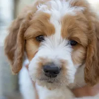 processed/b4215d1b-521a-472e-8233-b2919cc5f873/facility/ca8a055a-96d0-494f-8697-10255c5a0cde