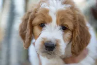 processed/b4215d1b-521a-472e-8233-b2919cc5f873/facility/ca8a055a-96d0-494f-8697-10255c5a0cde