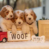 processed/b4215d1b-521a-472e-8233-b2919cc5f873/facility/ccc95611-f665-4a03-8a49-405559a50a60