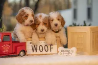 processed/b4215d1b-521a-472e-8233-b2919cc5f873/facility/ccc95611-f665-4a03-8a49-405559a50a60