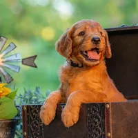 processed/b4215d1b-521a-472e-8233-b2919cc5f873/facility/fe74115a-ca0b-4334-aa9a-1a7456664048