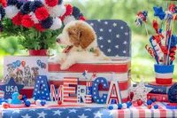 Rusty, a male Goldendoodle for sale in Waco, TX – 10 of 10