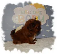 processed/b4275d92-29ed-4d71-8455-40022b9d52c5/listing/a4c20b60-70cf-4406-a9d1-889d0d969430/04428db9-8853-4057-ac55-bef3722df4a6