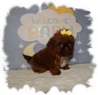 processed/b4275d92-29ed-4d71-8455-40022b9d52c5/listing/a4c20b60-70cf-4406-a9d1-889d0d969430/5e649472-40d0-4398-b579-fba30cd05d1a