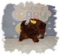 processed/b4275d92-29ed-4d71-8455-40022b9d52c5/listing/a4c20b60-70cf-4406-a9d1-889d0d969430/606e7ba9-da02-42f6-a17f-1cdb72aeb087