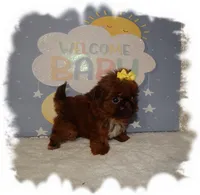 processed/b4275d92-29ed-4d71-8455-40022b9d52c5/listing/a4c20b60-70cf-4406-a9d1-889d0d969430/786476b2-538c-46ff-bcfc-71662aa5d743