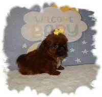 processed/b4275d92-29ed-4d71-8455-40022b9d52c5/listing/a4c20b60-70cf-4406-a9d1-889d0d969430/7d3299e8-bbe7-45bc-87b6-bf84b09ce520