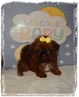 processed/b4275d92-29ed-4d71-8455-40022b9d52c5/listing/a4c20b60-70cf-4406-a9d1-889d0d969430/82715fad-df92-4784-8e1e-3e833a6910f1