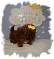 processed/b4275d92-29ed-4d71-8455-40022b9d52c5/listing/a4c20b60-70cf-4406-a9d1-889d0d969430/dea2c5a4-3b8c-4c49-a8d7-59e3d546536b