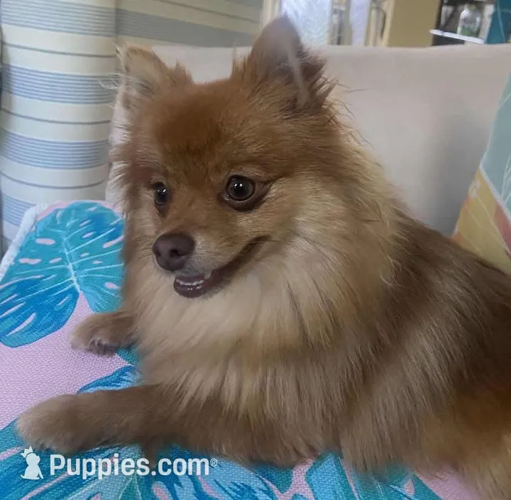 processed/b43652a6-bf66-4113-8ce3-7c1db23ffca5/facility/59edefb3-c17b-4673-b28b-eaef4eea4649