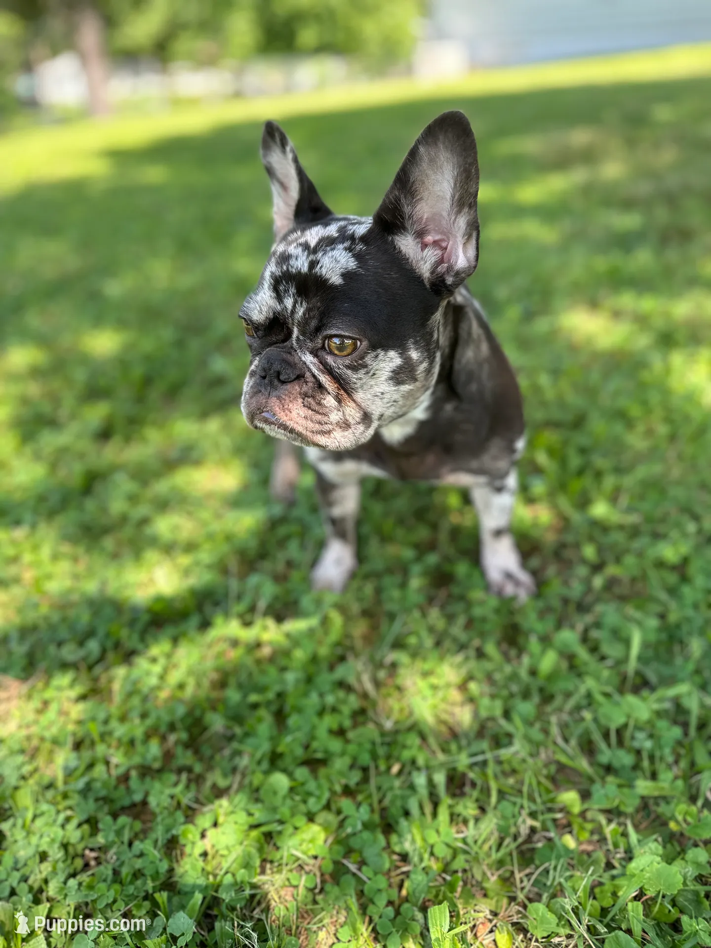 processed/b43652a6-bf66-4113-8ce3-7c1db23ffca5/facility/add7c81a-93d1-4893-b8d3-ce7aeb9503a3