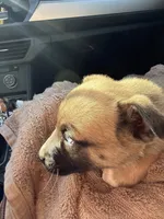 processed/b448c6dc-5ce7-49c2-a7a2-647cbbd3205b/listing/278db9e2-6a59-4061-a337-438938cf2a98/55f5085d-9b30-4a11-bbb3-2f4e8ca66191