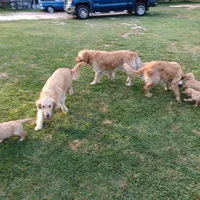 processed/b449f380-f3b3-4333-9387-e95f46a51196/facility/128facc9-6b83-407f-8a30-5148d182d57f