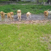 processed/b449f380-f3b3-4333-9387-e95f46a51196/facility/2e4c9728-da77-4dfb-92de-fecf2005752e