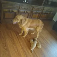 processed/b449f380-f3b3-4333-9387-e95f46a51196/facility/40501866-f069-4420-bb36-24b48a8d2231