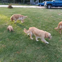 processed/b449f380-f3b3-4333-9387-e95f46a51196/facility/48aa6dc2-5317-4ea0-80b4-3c1cdb1715a6