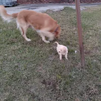 processed/b449f380-f3b3-4333-9387-e95f46a51196/facility/4a900f62-da27-4945-89eb-b699dd79e03b